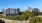 View of community nestled among the trees with Raleigh skyline behind. 