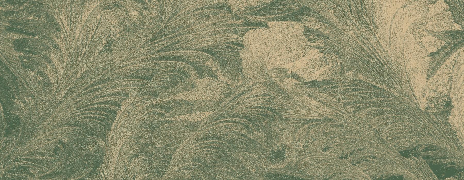 green and yellowish feather background pattern